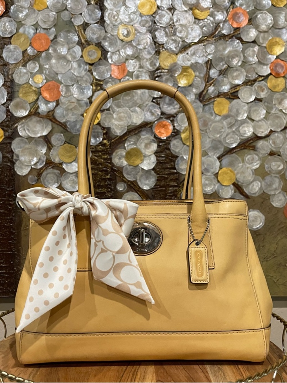 Coach Y2K Hampton Madeline Carryall (F13675).